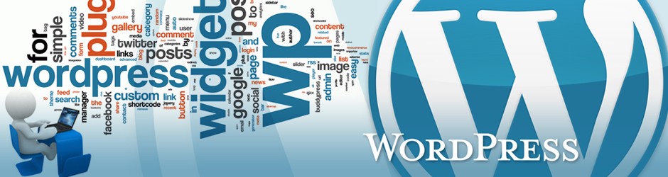 Responsive Wordpress Website