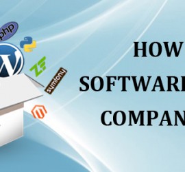How Is Custom Software Development Company Beneficial