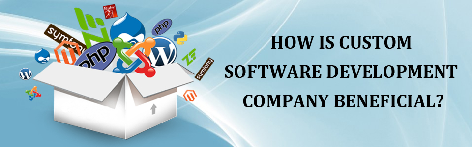 How Is Custom Software Development Company Beneficial